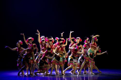 紅河州2024年第三屆群眾文化白鷴獎文藝匯演圓滿落幕，展現民族文化藝術新風采