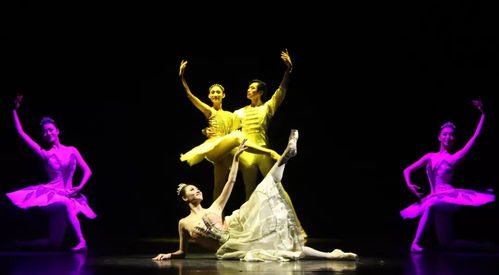 以美育人，以文化人 遼寧芭蕾舞團專場演出點亮寧夏大學新華學院藝術星空